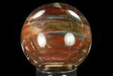 Colorful Petrified Wood Sphere - Madagascar #135661-1